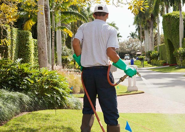 About Sunnyvale CA Pest Control